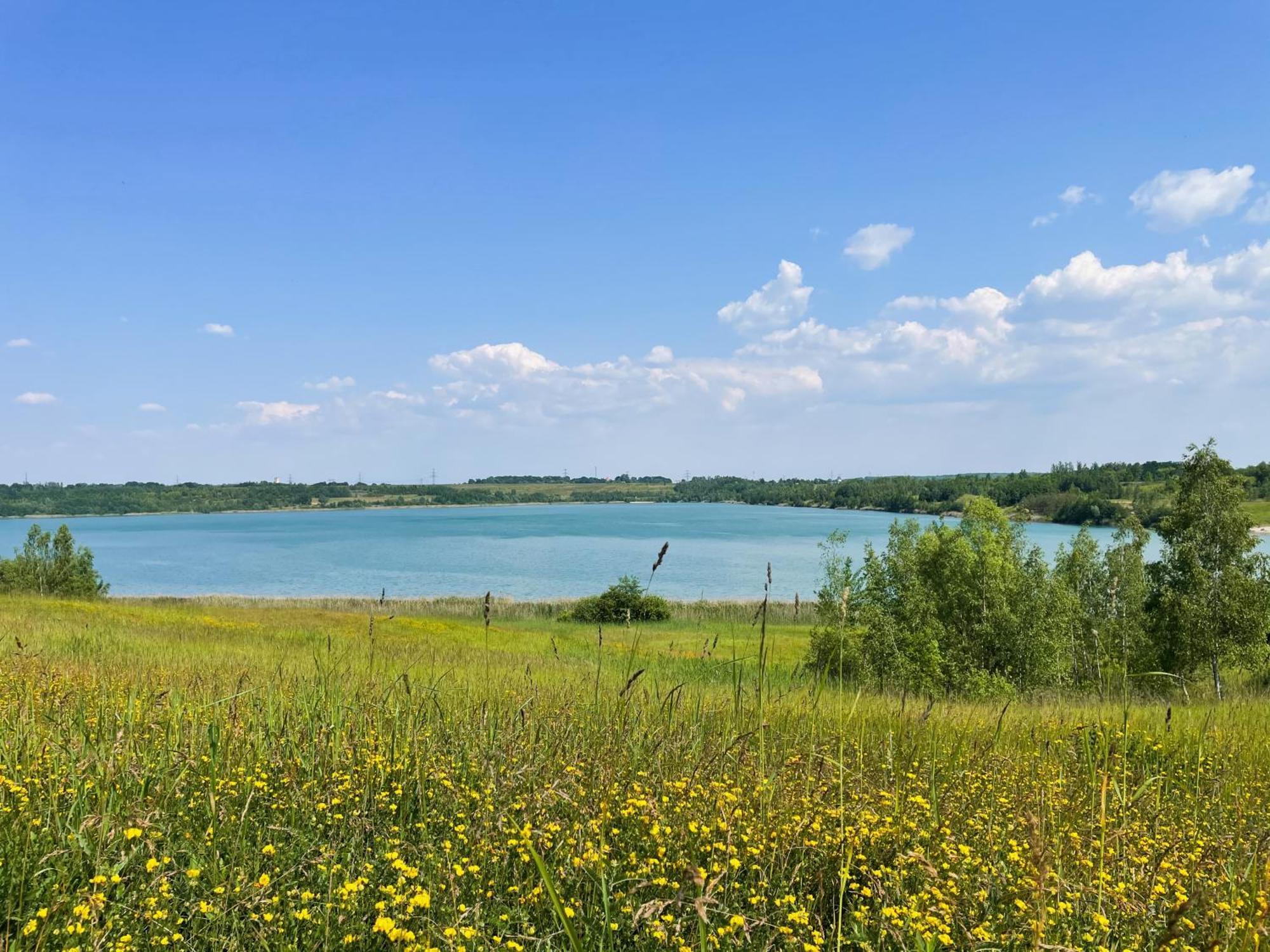 Haus Im Schilf 2 - Ferienwohnungen Am Hainer See Bei Leipzig Neukieritzsch Экстерьер фото